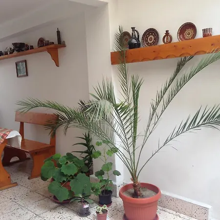 Gloria House Misivri