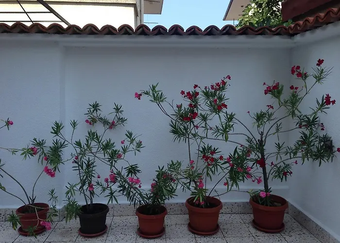 Gloria House Gæstehus